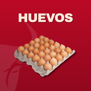 Huevos