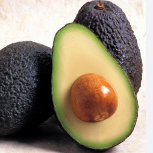 Palta Hass Chilena
